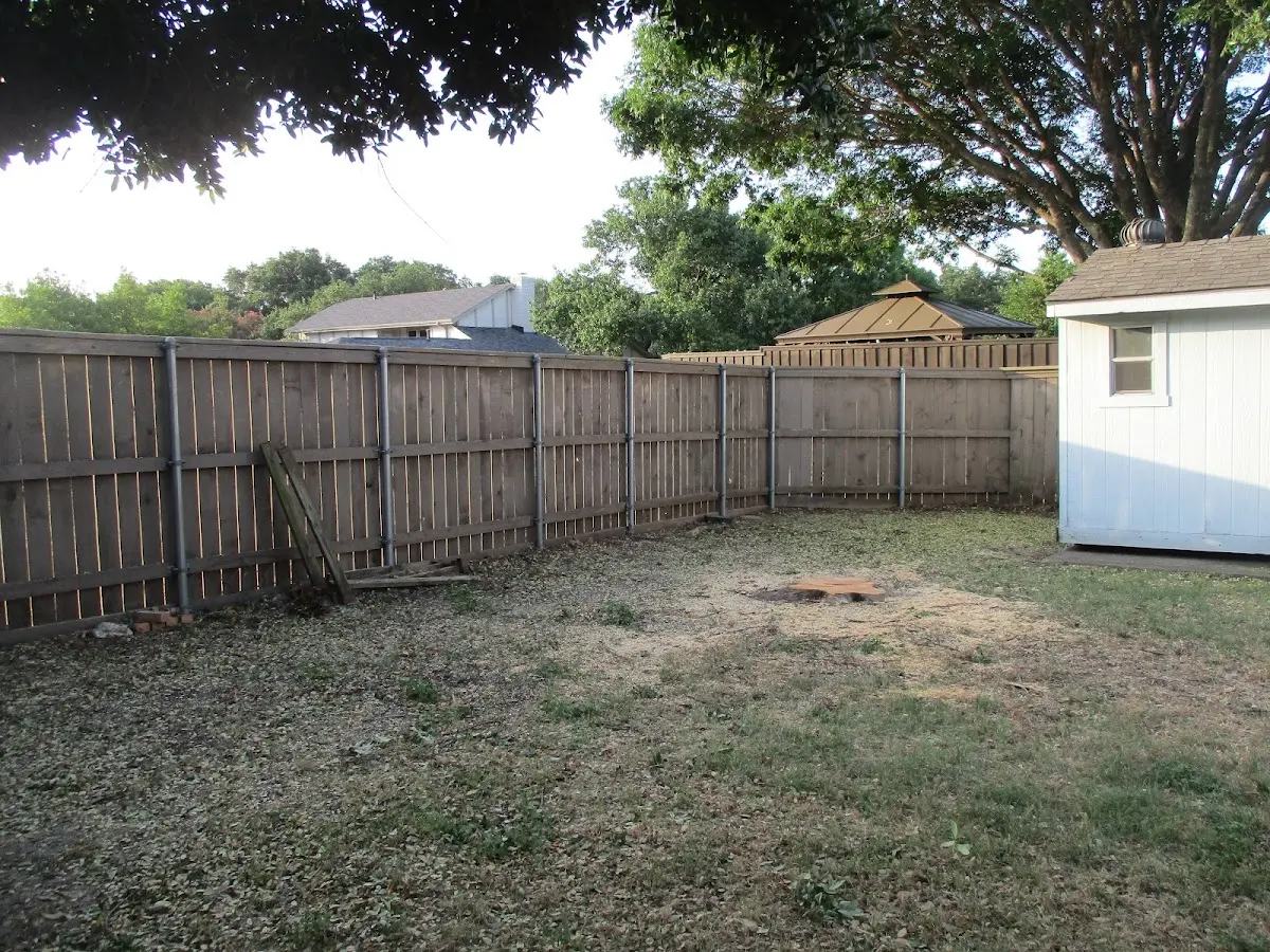 Cleared yard after professional tree removal in Pine Plains